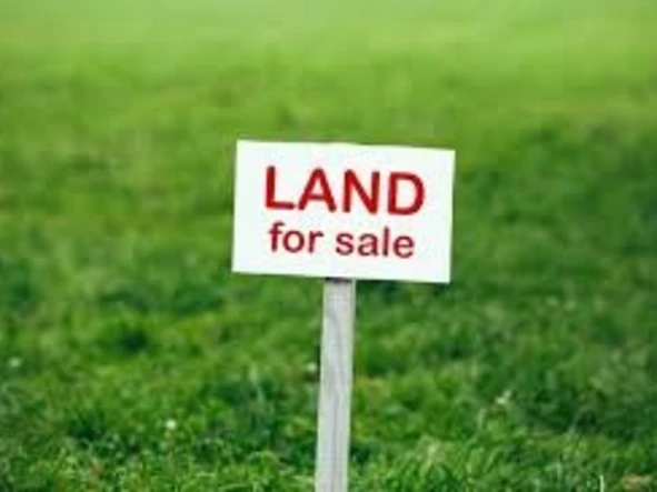 Commercial & Industrial Land