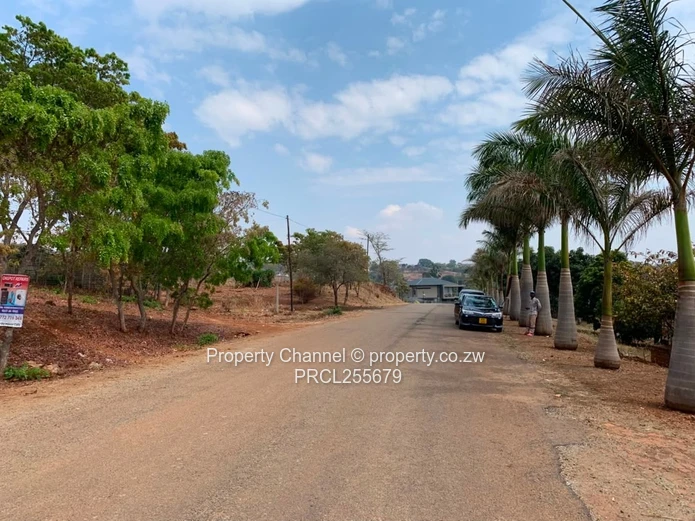 2,100m² Plot on Paved Road with Palm Trees, Hogerty Hill