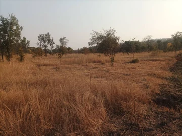 Farm & Agricultural Land