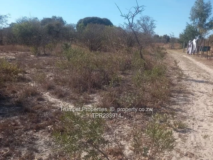3ha Arable & Grazing Farm with Brick Shell — Marondera (Sole Mandate)