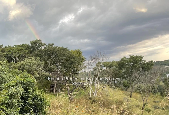 Helensvale - Just listed  - 2 stands for sale with views  	