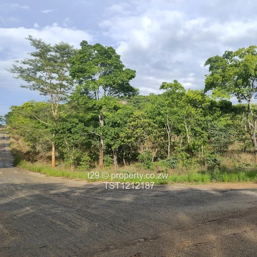 Borrowdale Carrick creagh estate stand for sale (Sole Mandate)