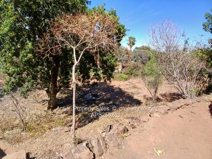 6936 Square Meters Of Land! 