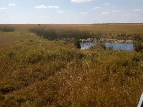 Farm & Agricultural Land