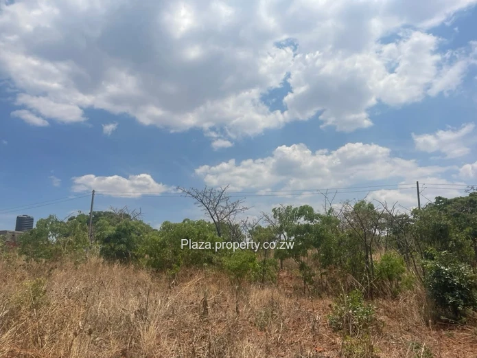 Stand For Sale – Norton, Knowe Phase 1