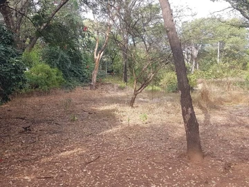 Land