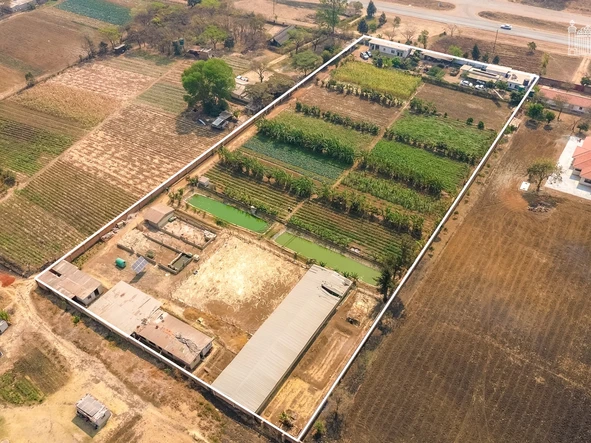 Farm & Agricultural Land