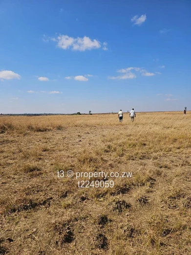 10 Hectares Prime Arable Land for Sale – Nyabira 