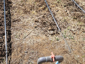 Farm & Agricultural Land