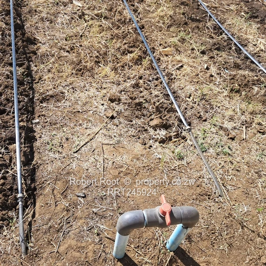 Agro residential stand (Sole Mandate)