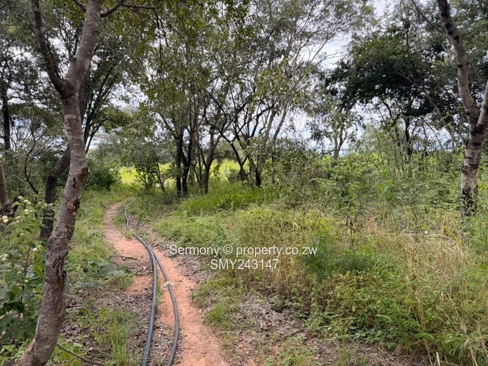 Plots for sale in Chegutu 