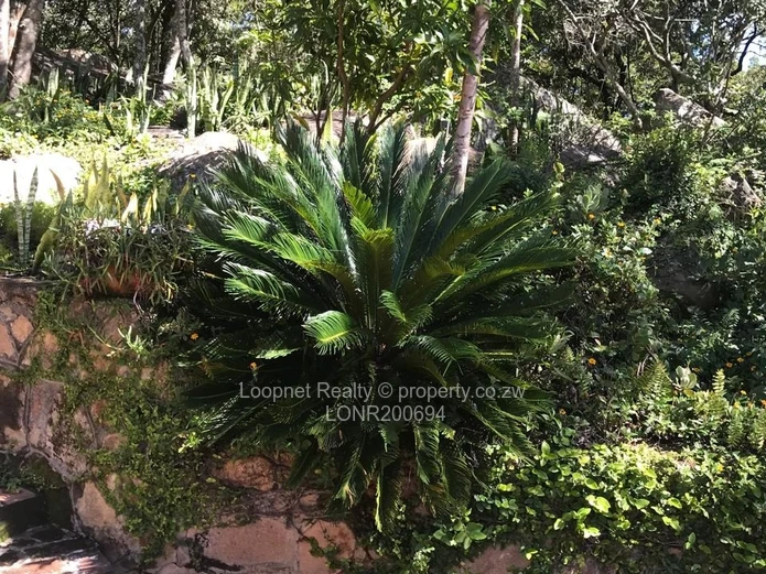 Luxurious Farmhouse Estate in Ruwa, Harare