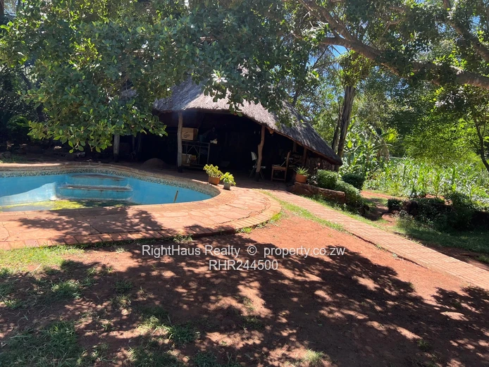 Walled 4-Bed Home with Lush Garden in New Alexandra Park (Sole Mandate)