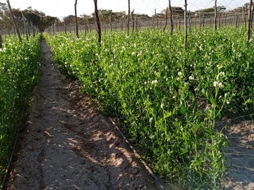 Beatrice Farm for sale 