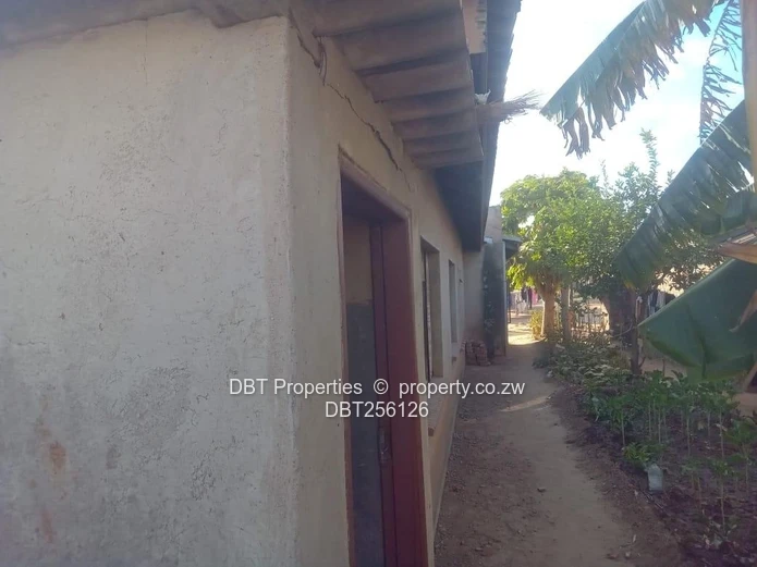 Solid Property