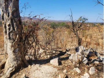 Commercial & Industrial Land