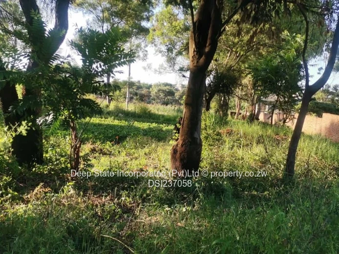 Chishawasha (Gletwin) stand for sale