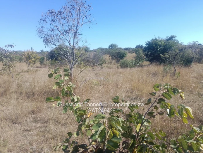17 Hectares Prime Institutional Land for Sale – Hwedza