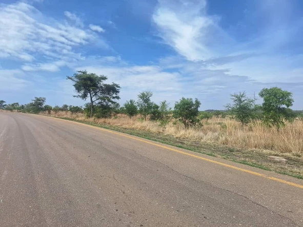 Farm & Agricultural Land