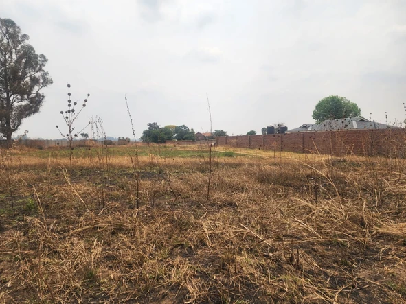 Stands & Residential Land