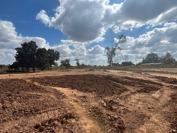 Commercial & Industrial Land