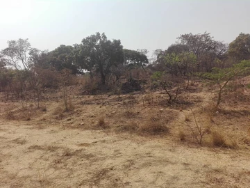 Farm & Agricultural Land