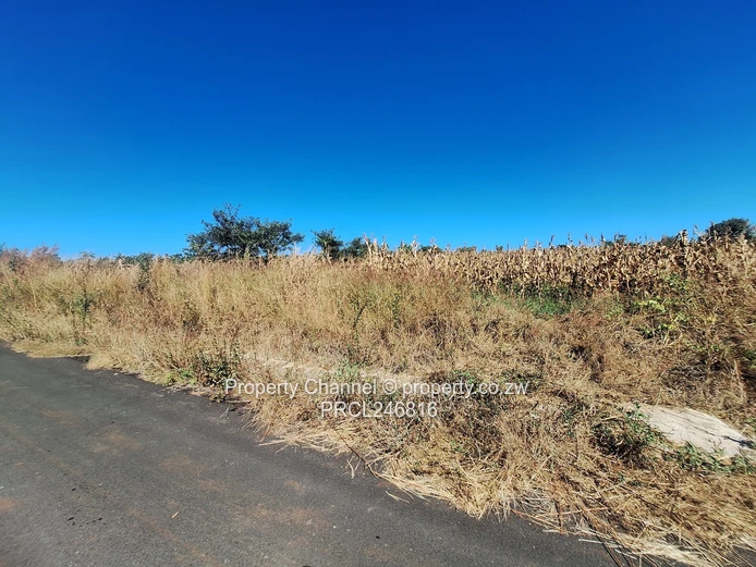 Your Dream Home Starts Here . . .