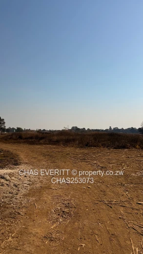 Stand for sale old mt pleasant off Norfolk road 