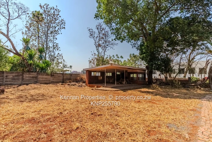 Trophy location - Ed Mnangagwa Rd + Glenara Ave