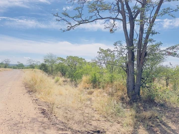 Commercial & Industrial Land