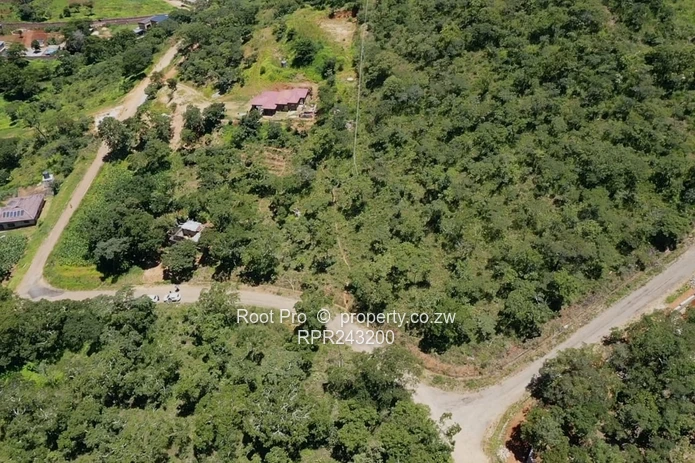 Borrowdale Carrick Creagh Stands For Sale