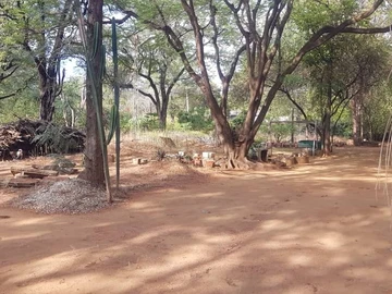 Land