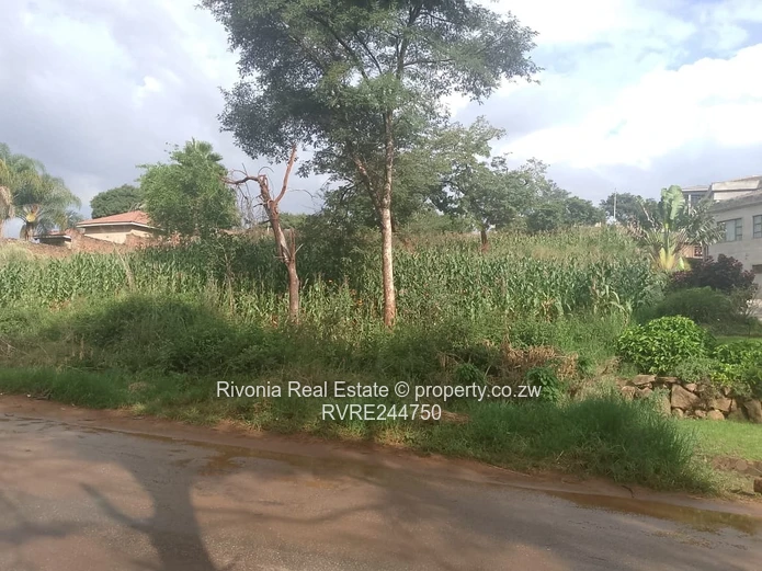 2000m² Gletwin Park Stand — Tarred Road & Access Control