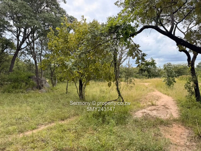 Plots for sale in Chegutu 
