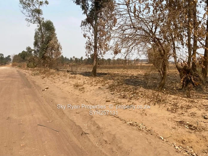 Spitzkop Land For Sale 