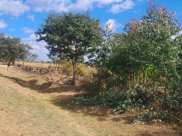 Commercial & Industrial Land