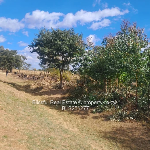 PRIME 2000m² SERVICE STATION STAND - HARARE-MUTARE Highway 