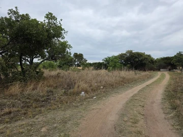 Farm & Agricultural Land