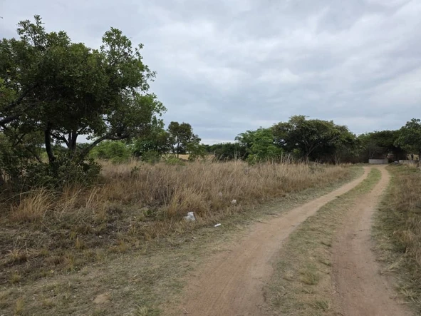 Farm & Agricultural Land