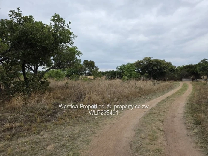 Grab this investment opportunity