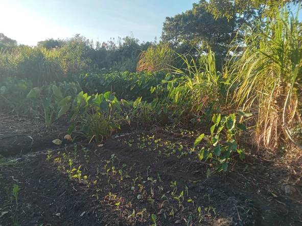 Commercial & Industrial Land