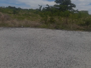 Farm & Agricultural Land