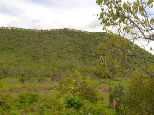 Farm & Agricultural Land