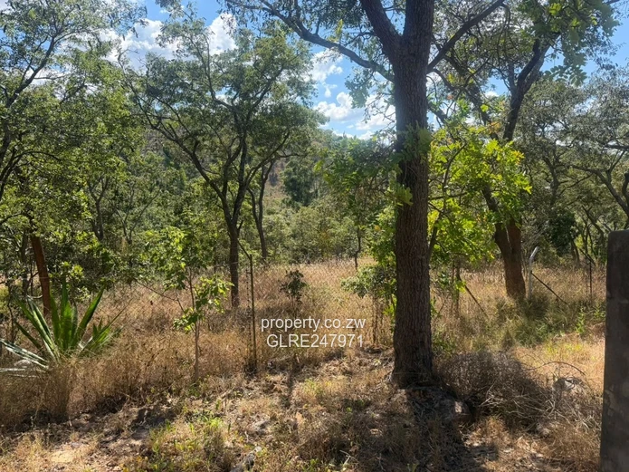 3500m² Tree-Shaded Stand with Gated Access in Glen Lorne