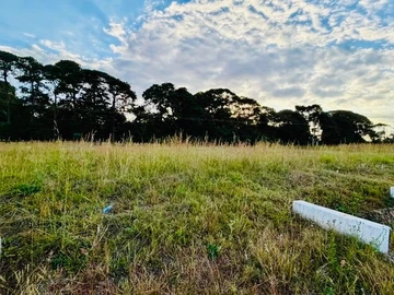 Land
