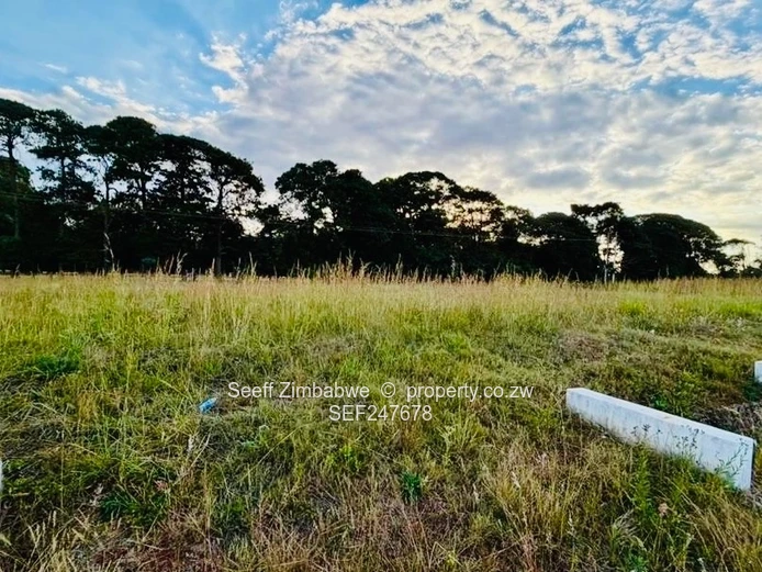Pomona City Stand- Ready to build (Sole Mandate)
