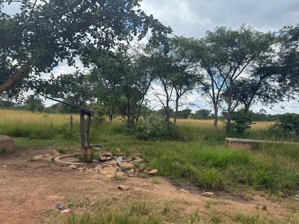 Farm & Agricultural Land