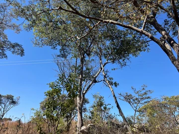 Farm & Agricultural Land