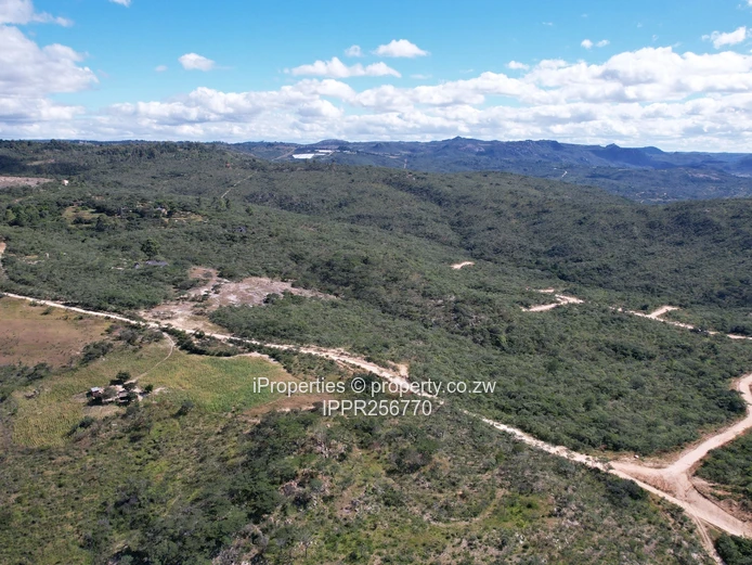 Residential Stands for Sale – Juliusdale, Nyanga (Sole Mandate)
