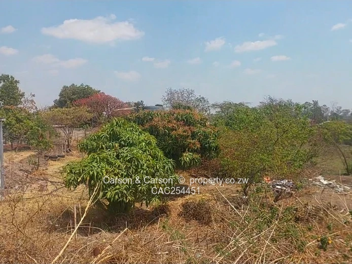 Organised Gated Community 